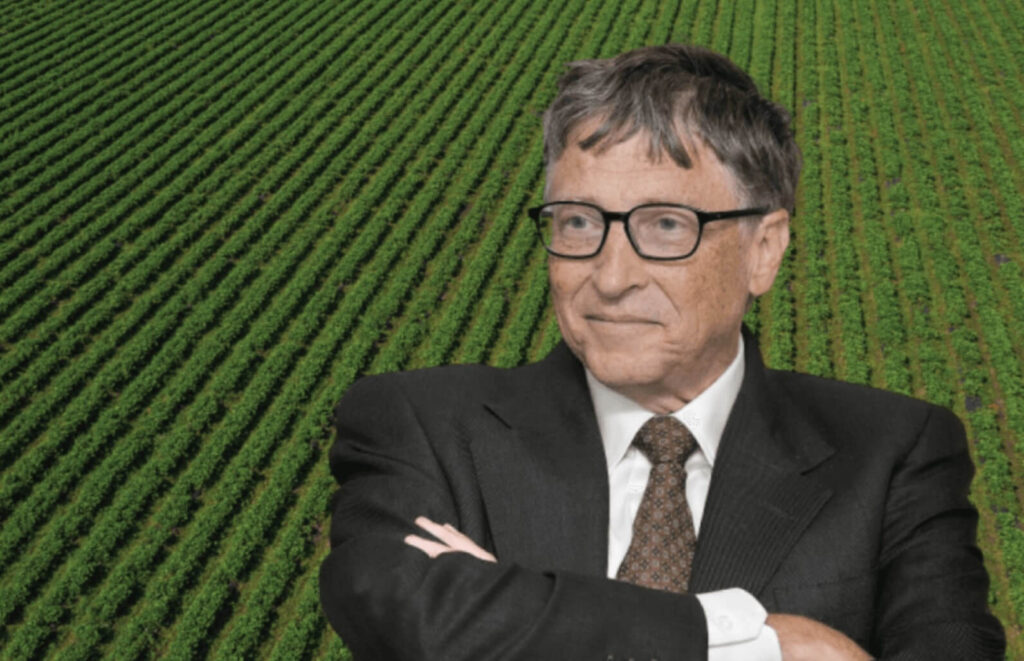 Uma carta aberta para Bill Gates sobre alimentação, produção e África