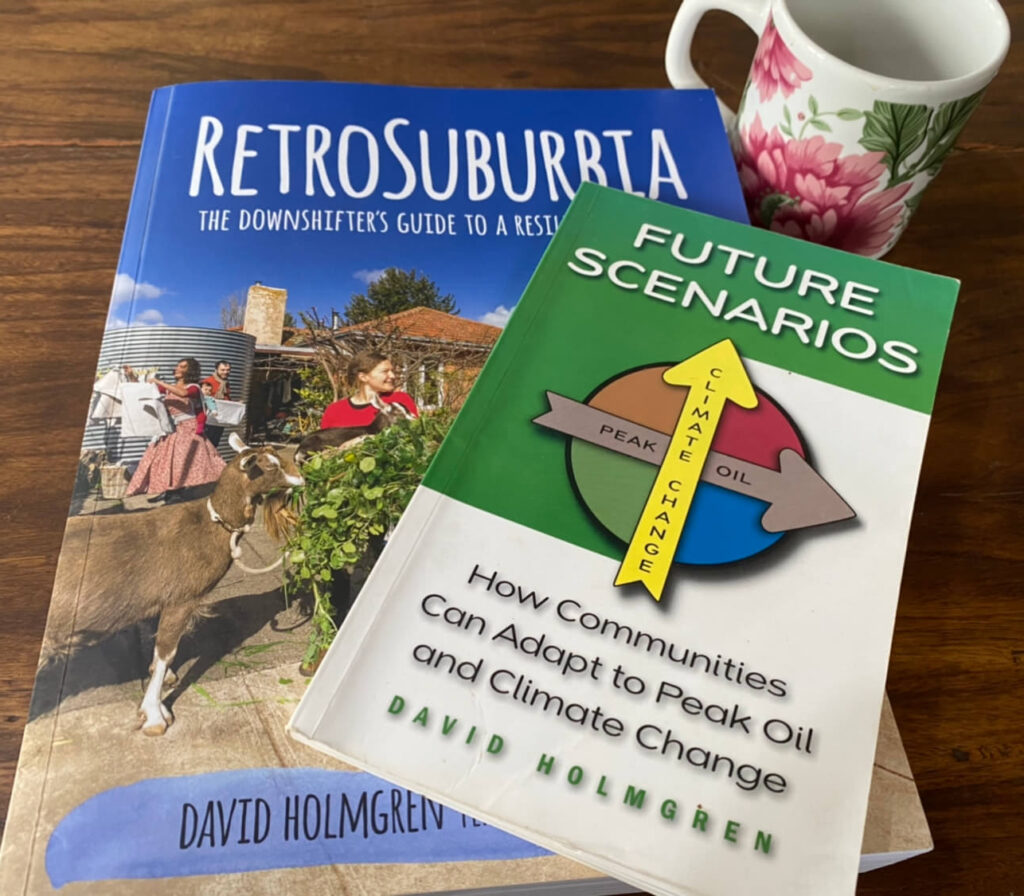 Retrosuburbia: O guia do Downshifter* para um futuro resiliente.