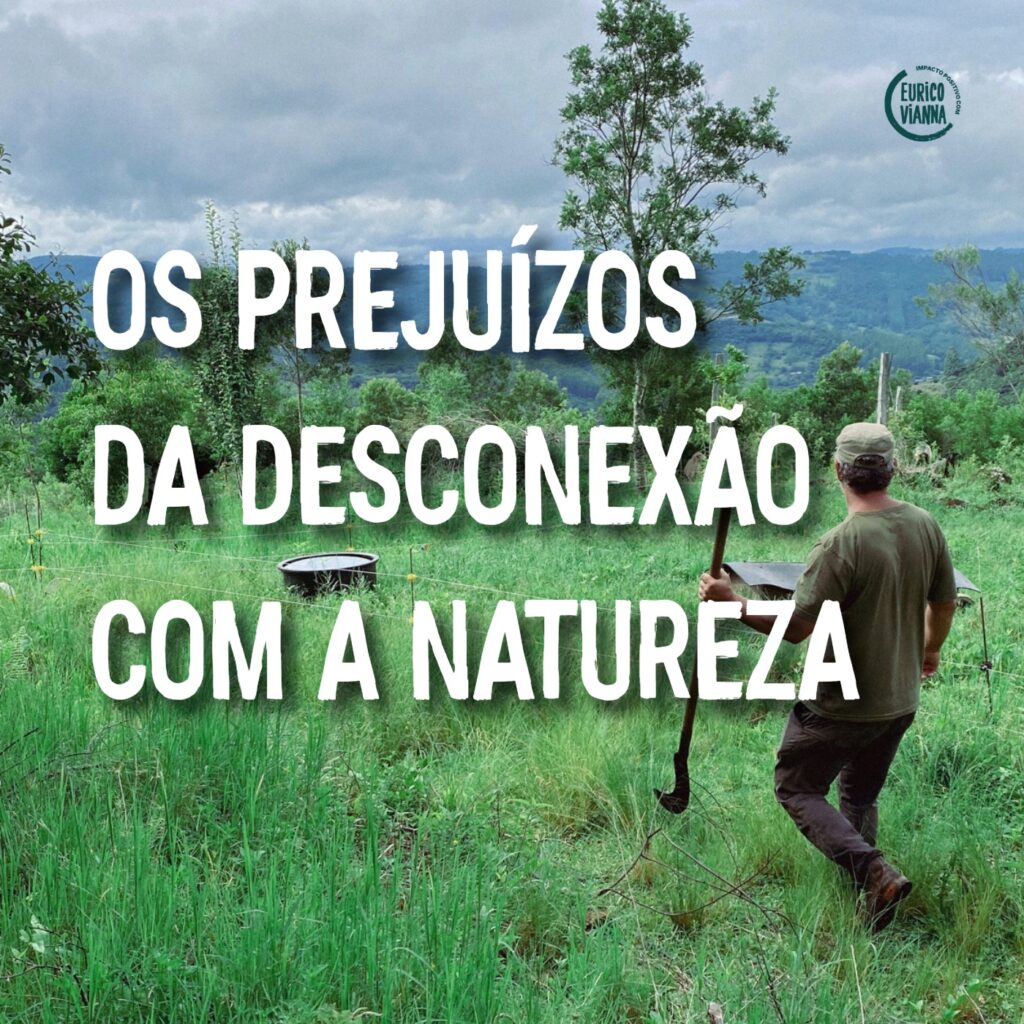 Reflexões de Meio de Ano: o Natal, o “Ano Novo” e o Descompasso com a Natureza